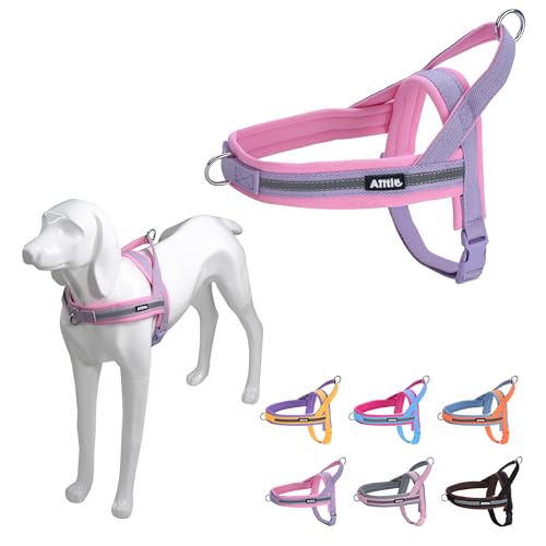 AIITLE Ausbruchsicheres taktisches Hundegeschirr, kein Ziehen, Hundegeschirr mit weich gepolstertem Griff, einfach zum Trainieren, Spazierengehen und Laufen für große Hunde, Lila-Rosa, L AIITLE Ausbruchsicheres taktisches Hundegeschirr, kein Ziehen, Hundegeschirr mit weich gepolstertem Griff, einfach zum Trainieren, Spazierengehen und Laufen für große Hunde, Lila-Rosa, L von Aiitle