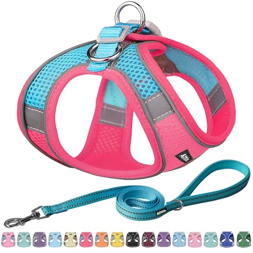 AIITLE Bequemes Hundegeschirr und Leine Set zum Gassi gehen - Step in Vest Harness, Reflektierende Bänder, Einstellbare No Pull Puppy Essentials, für kleine Hunde und Hauskatzen Knalliges Rosa XS von Aiitle