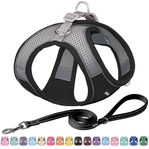 AIITLE Easy Walk Hundegeschirr und Leine Set - Haustierversorgung No Pull, Step in einstellbares Hundegeschirr No Choke Over, einfach zu setzen auf mittlere Hunde Schwarz L von Aiitle
