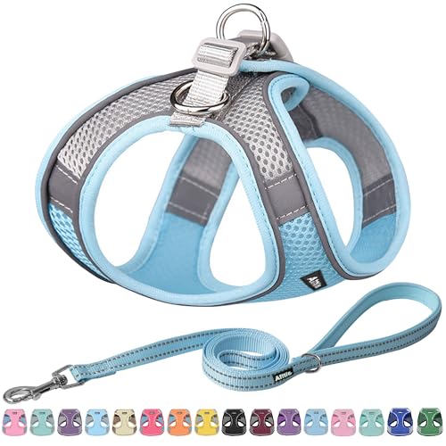 AIITLE Easy Walk Hundegeschirr und Leine Set - Pet Supply No Pull, Step in einstellbares Hundegeschirr No Choke Over, einfach zu setzen auf mittlere Hunde Blau L AIITLE Easy Walk Hundegeschirr und Leine Set - Pet Supply No Pull, Step in einstellbares Hundegeschirr No Choke Over, einfach zu setzen auf mittlere Hunde Blau L von Aiitle