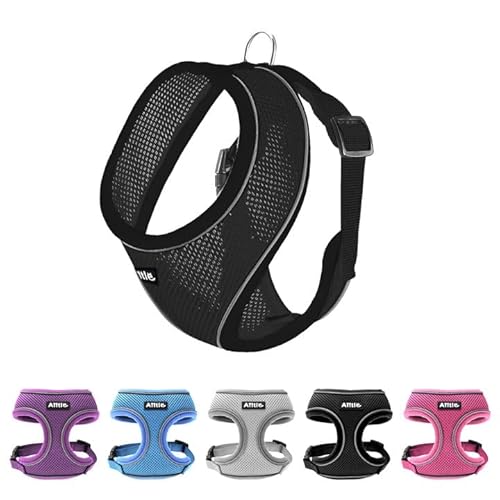 AIITLE Hundegeschirr für mittelgroße Mädchen, Bequeme, verstellbare Netzweste mit Schnellverschluss, reflektierende Sicherheitsstreifen – perfekt für Pudel und Teddys (M, Schwarz) von Aiitle