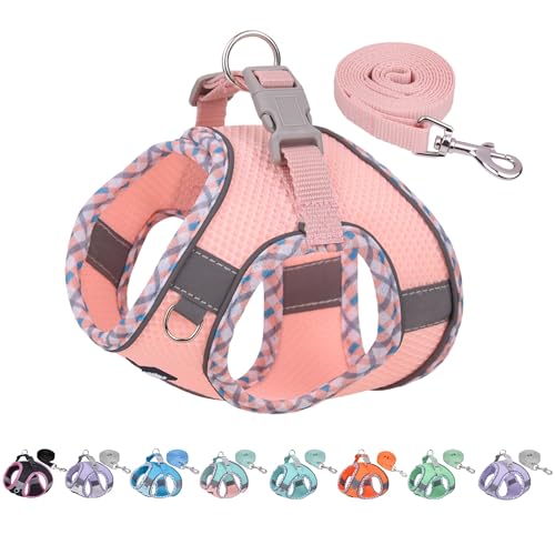 AIITLE Hundegeschirr und Leine Set, No Pull Step in Welpengeschirr mit super atmungsaktivem Mesh, verstellbare Welpen Essentials für Outdoor-Gehen, Training für kleine Hunde, Katzen Rosa XS von Aiitle
