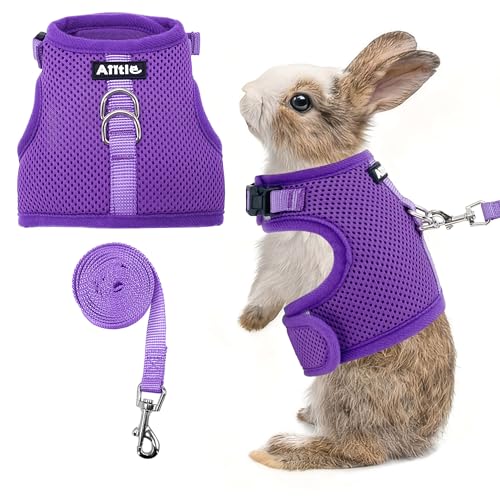 AIITLE Leichtes Escape Bunny Geschirr und Leine, Air-Mesh-Weste mit doppelten D-Ringen, verstellbar & Magic-Tape-Design, für Frettchen/Katze/Welpentraining und Wanderabenteuer, Lila, L AIITLE Leichtes Escape Bunny Geschirr und Leine, Air-Mesh-Weste mit doppelten D-Ringen, verstellbar & Magic-Tape-Design, für Frettchen/Katze/Welpentraining und Wanderabenteuer, Lila, L von Aiitle