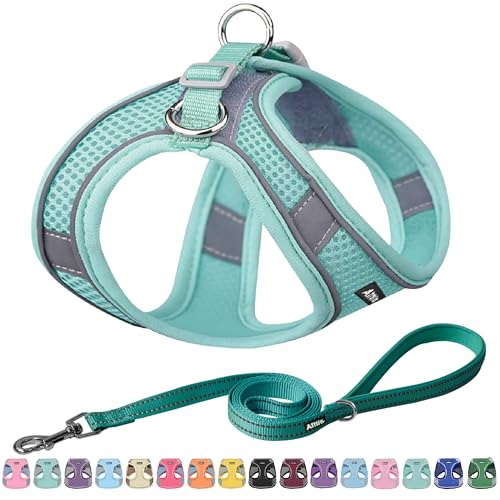 AIITLE No Pull Hundegeschirr, Step in einstellbares Hundegeschirr mit gepolsterter Weste, Hundeleine mit weichem gepolstertem Griff, leicht anzulegen für kleine und mittlere Hunde Reines Türkis S von Aiitle