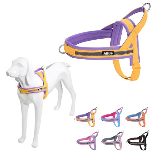 AIITLE No Pull Hundegeschirr mit weich gepolstertem Griff, Reflektorstreifen, ausbruchsicher und Schnellverschluss zum Anpassen von Geschirren für Welpen oder sehr kleine Hunde, Gelb-Lila, XXS von Aiitle