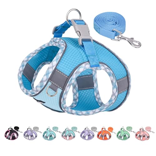 AIITLE No Pull Hundegeschirr und Leine Set, Schritt in einstellbaren Hundegeschirr mit gepolsterter Weste für alle Wetter, reflektierende Haustiergeschirr, einfach auf kleine Hunde setzen Blau S von Aiitle