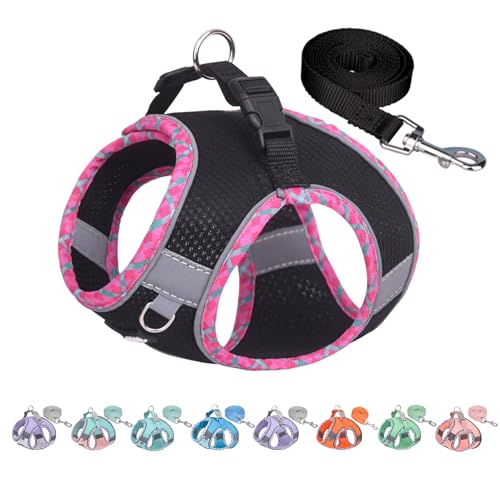 AIITLE No Pull Hundegeschirr und Leine Set, Schritt in einstellbaren Hundegeschirr mit gepolsterter Weste für alle Wetter, reflektierende Haustiergeschirr, einfach auf kleine Hunde setzen Schwarz S AIITLE No Pull Hundegeschirr und Leine Set, Schritt in einstellbaren Hundegeschirr mit gepolsterter Weste für alle Wetter, reflektierende Haustiergeschirr, einfach auf kleine Hunde setzen Schwarz S von Aiitle