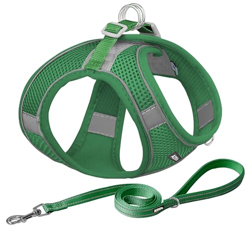 AIITLE Step in Hundegeschirr und Leine Set - Ziehfreies, fluchtsicheres Westengeschirr mit reflektierenden Bändern, verstellbares Hundegeschirr für kleine und mittlere Hunde Grün M AIITLE Step in Hundegeschirr und Leine Set - Ziehfreies, fluchtsicheres Westengeschirr mit reflektierenden Bändern, verstellbares Hundegeschirr für kleine und mittlere Hunde Grün M von Aiitle