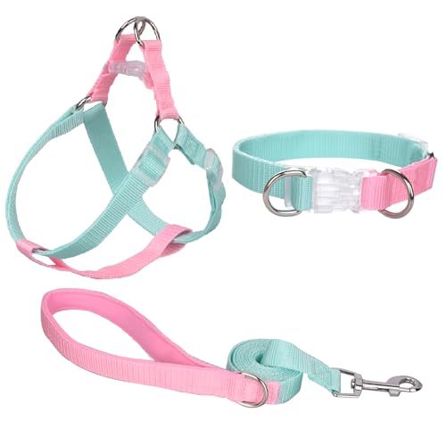 AIITLE Verbessertes Step-in-Hundehalftergeschirr & Leine & Halsband - Leichtes Hundegeschirr mit Doppel-D-Ring - für extra kleine Hunde, tägliches Spazierengehen, Grün-Rosa, XS von Aiitle