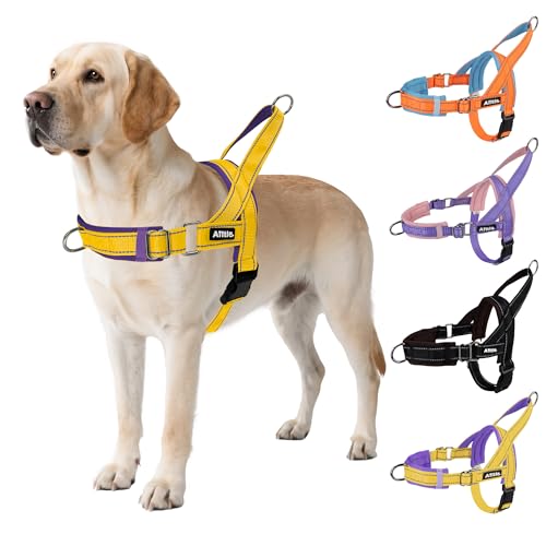 AIITLE Verbessertes ausbruchsicheres taktisches Hundegeschirr, Hals und Brust verstellbar, kein Ziehen mit weich gepolstertem Griff, einfach für das Training großer Hunde, Gelb-Lila, L von Aiitle