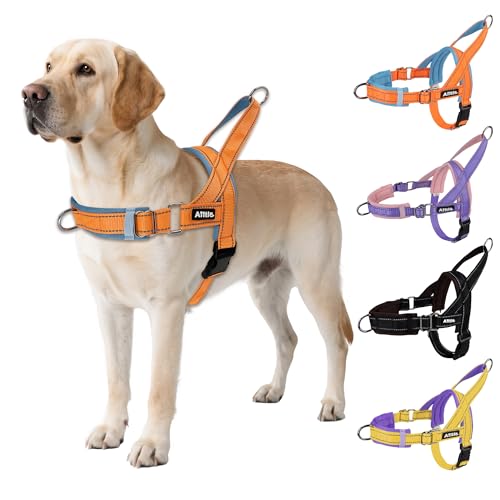 AIITLE Verbessertes verstellbares Hundegeschirr mit weich bequem gepolstertem, ausbruchsicherem, taktischem Hundegeschirr, reflektierendes, leichtes Geschirr für mittelgroße Hunde, Orange-Blau, Größe AIITLE Verbessertes verstellbares Hundegeschirr mit weich bequem gepolstertem, ausbruchsicherem, taktischem Hundegeschirr, reflektierendes, leichtes Geschirr für mittelgroße Hunde, Orange-Blau, Größe von Aiitle