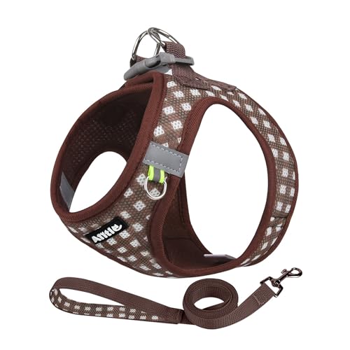 AIITLE Verstellbares Hundegeschirr und Leinen-Set, weiches Netzgewebe, reflektierendes Karomuster, Welpen und Hauskatzen, zum Spazierengehen und Laufen im Freien, Schokolade, XS AIITLE Verstellbares Hundegeschirr und Leinen-Set, weiches Netzgewebe, reflektierendes Karomuster, Welpen und Hauskatzen, zum Spazierengehen und Laufen im Freien, Schokolade, XS von Aiitle