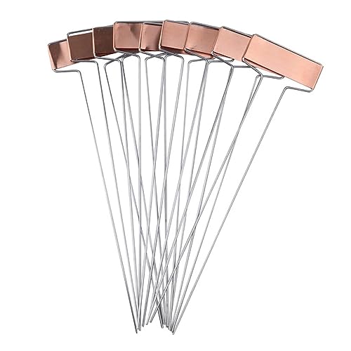 Ailan 25 Stück langlebige Metall Pflanzenetiketten, geeignet für Jede Pflanzensorte, einfach zu kupferne Metall Pflanzenetiketten, Gartenmarkierungen Ailan 25 Stück langlebige Metall Pflanzenetiketten, geeignet für Jede Pflanzensorte, einfach zu kupferne Metall Pflanzenetiketten, Gartenmarkierungen von Ailan