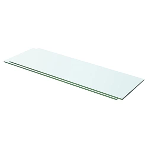 Ailgely 2pcs Glasablage Glasregal, Glasboden Glasscheibe Glasplatte, für Glasregal Transparent für Bad, Küchen,Balkon, Verschiedene Größen 60 x 15 cm von Ailgely