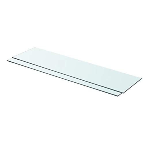 Ailgely 2pcs Glasablage Glasregal, Glasboden Glasscheibe Glasplatte, für Glasregal Transparent für Bad, Küchen,Balkon, Verschiedene Größen 80 x 20 cm von Ailgely
