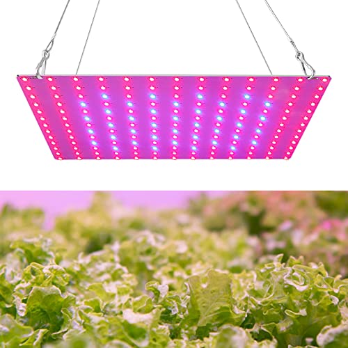 Ailgely LED Grow Light Rot Blau Vollspektrum 81LEDs Pflanzenlampe LED Panel Wachstumslampen für Pflanzen, Pflanzenlicht für Hydroponisches Gewächshaus Zimmerpflanze Wachstum Ailgely LED Grow Light Rot Blau Vollspektrum 81LEDs Pflanzenlampe LED Panel Wachstumslampen für Pflanzen, Pflanzenlicht für Hydroponisches Gewächshaus Zimmerpflanze Wachstum von Ailgely