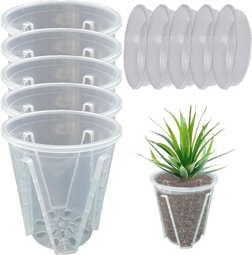 Ailovone 5 Stück Transparent Orchideentöpfe orchideen übertopf Orchidee Pflanztöpfe Klare Blumentöpfe Atmungsaktiver Geschlitzter Blumentopf für Indoor Outdoor Balkon Schreibtisch (10cm+tablett) von Ailovone
