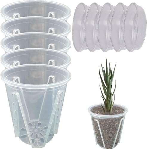 Ailovone 5 Stück Transparent Orchideentöpfe orchideen übertopf Orchidee Pflanztöpfe Klare Blumentöpfe Atmungsaktiver Geschlitzter Blumentopf für Indoor Outdoor Balkon Schreibtisch (14cm+tablett) von Ailovone