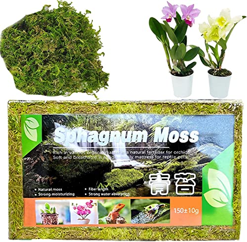 Ailovone Sphagnum Moos Für Bonsai Orchideen Langfaseriges Sphagnum, Moss Torfmoos Moos, Orchideen Moos, Sphagnum Moos Substrat Get Trocknen Für Orchidee Phalaenopsis (1pcs) von Ailovone