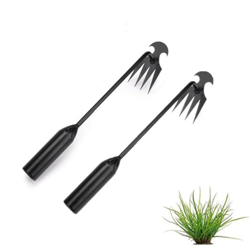 Ailovone Unkrautjäter Unkrautstecher 2 Stück Edelstahl Unkrautstecher Gartengeräte Garten Schaufel Fugenkratzer Mit Stiel UnkrautjäTer Unkraut Entferner Gerät für Garten Jäten (B2) von Ailovone