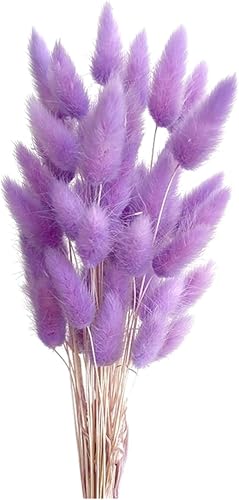 Pampasgras Trockenblumen 50 Stück Elegantes Pampasgras Deko Natürlich Blumenstrauß Flauschiges Getrocknete Blumen Herbst Boho Deko für Hochzeit Büro Schlafzimmer Wohnzimme (Violett) von Ailovone