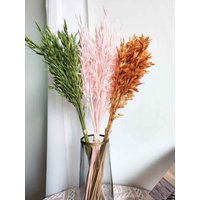 3 Farben Hafergras Bund, 20 Stäbchen, Hartpfahl Avena Hafergras, Trockenblumen Arrangement, Diy Bastelbedarf, Gräser Für Vase, Wohndekoration von AimGoFloralDecor