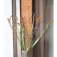 Getrocknete Flammenorchideenbündel, Blumenarrangements, Natürliche Blumenzweige Für Vase, Heimdekoration von AimGoFloralDecor
