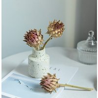 Getrocknete Riesen-Protea-Blumen, Besondere Blumen Aus Südafrika, Blumengemeinnisse, Wohndekor, Vasenfüller Hochzeitsblumen Dekor von AimGoFloralDecor