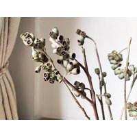 Getrocknete Zombieobstzweige, Eukalyptusobstzweige, Blumengesteck, Echte Pflanze Für Vase, Hochzeitsdekor von AimGoFloralDecor