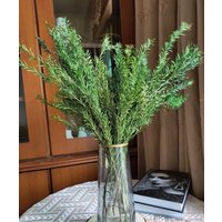 Konservierte Melaleuca Blätterbündel, Getrocknete Blumen, Natürliche Blätter Zweige Für Vase, Diy Bastelbedarf, Wohnkultur, Hochzeitspflanze von AimGoFloralDecor