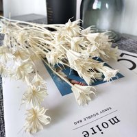 Weiße Nigella Orientalis Blumen Getrocknete Achteckige Blume ， Arrangement Wohnkultur Diy Bastelbedarf Hochzeitsdekor von AimGoFloralDecor