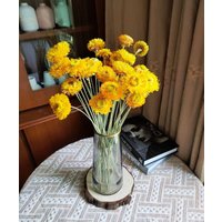 strohblumen Äste, Getrocknete Köpfe, Getrocknete Blumen Anordnung, Gelbe Für Vase, Diy Bastelbedarf Wohndekoration von AimGoFloralDecor