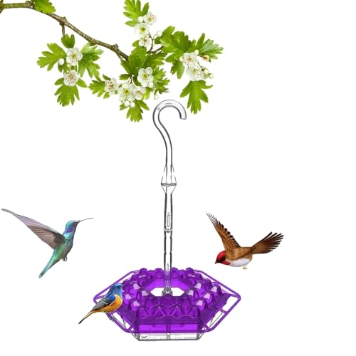 Sherem Kolibri-Futterspender für Kolibri, 2024, süßer Kolibri-Futterspender für den Außenbereich, Gartendekoration, Windspiel, Kolibri-Futterstation mit 30 Futteröffnungen (lila) von Ainid