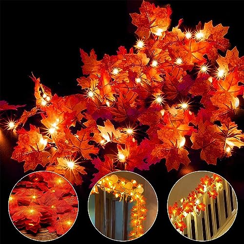 ainkedin Herbst Lichterkette, Herbst Blättergirlande, Lichterkette, 70 Ahornblatt Licht, Länge 10 Meter Benutzt für Herbstdeko und Weihnachtsdeko Halloween Deko Party Deko Tischdeko ainkedin Herbst Lichterkette, Herbst Blättergirlande, Lichterkette, 70 Ahornblatt Licht, Länge 10 Meter Benutzt für Herbstdeko und Weihnachtsdeko Halloween Deko Party Deko Tischdeko von Ainkedin