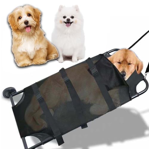 Haustiertrage, Notfallwagen, Praktische Haustiertrage, Bis 158 Kg, Gleitrollen, Gurte, Einfacher Transport, Notfalltrage, Ausrüstungsarten, Haustiere, Die Sich Nicht Selb Haustiertrage, Notfallwagen, Praktische Haustiertrage, Bis 158 Kg, Gleitrollen, Gurte, Einfacher Transport, Notfalltrage, Ausrüstungsarten, Haustiere, Die Sich Nicht Selb von Aioneer