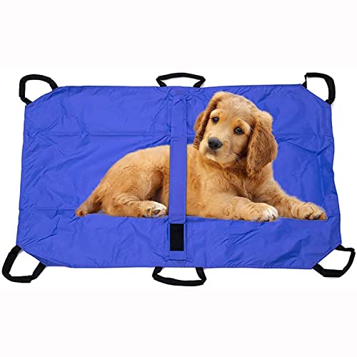 Haustiertrage, Tragbare Notfalltrage Für Hunde Und Andere Tiere, Für Hunde Und Andere Tiere Haustiertrage, Tragbare Notfalltrage Für Hunde Und Andere Tiere, Für Hunde Und Andere Tiere von Aioneer