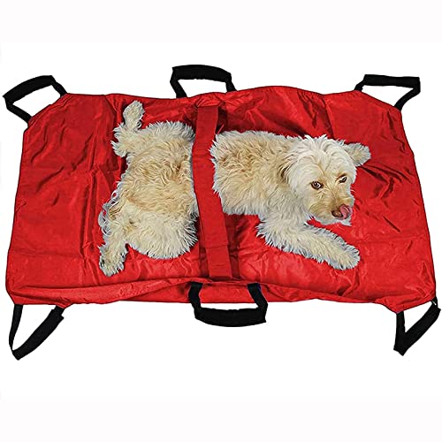 Transporttrage Für Hunde ?Tiertrage Mit Sicherheitsgurt Gewichtsbeschränkung Haustiertrage Heimkrankenbett Zubehör Transferbett-B Transporttrage Für Hunde ?Tiertrage Mit Sicherheitsgurt Gewichtsbeschränkung Haustiertrage Heimkrankenbett Zubehör Transferbett-B von Aioneer