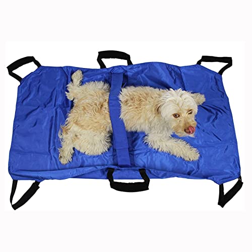 Transporttrage Für Hunde Und Andere Tiere, Haustiertrage, Zusammenklappbare Tragbare Trage, Notfall-Rettungstrage Mit Sicherheitsgurt Zur Sicheren Aufbewahrung Ihres Haus-Blue Transporttrage Für Hunde Und Andere Tiere, Haustiertrage, Zusammenklappbare Tragbare Trage, Notfall-Rettungstrage Mit Sicherheitsgurt Zur Sicheren Aufbewahrung Ihres Haus-Blue von Aioneer