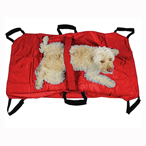 Transporttrage Für Hunde Und Andere Tiere, Haustiertrage, Zusammenklappbare Tragbare Trage, Notfall-Rettungstrage Mit Sicherheitsgurt Zur Sicheren Aufbewahrung Ihres Haus-Red Transporttrage Für Hunde Und Andere Tiere, Haustiertrage, Zusammenklappbare Tragbare Trage, Notfall-Rettungstrage Mit Sicherheitsgurt Zur Sicheren Aufbewahrung Ihres Haus-Red von Aioneer