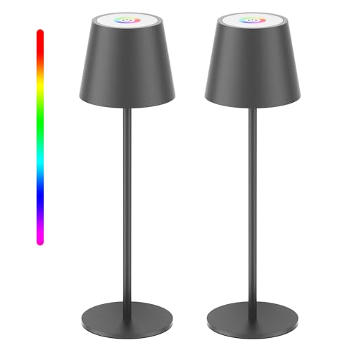 Aipsun 2 Stück Dimmbare LED Akku Tischlampe Kabellose Dunkelgrau, Wiederaufladbar Warmweiß 3000K Tischleuchte & 8 RGB Farben Für Camping, Bar, Schlafzimmer, Restaurants mit USB-C, Aluminium, IP54 von Aipsun