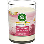 Air Wick Aroma-Duftkerze Harmonie 4 Stück à 220 g Air Wick Aroma-Duftkerze Harmonie 4 Stück à 220 g von Air Wick