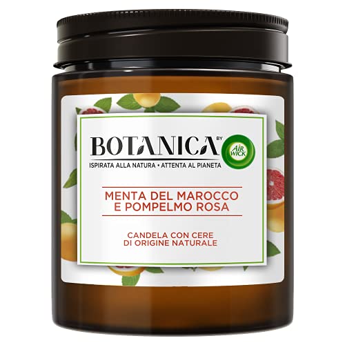 Airwick Botanik Kerze mit Wachs aus natürlichem Ursprung, Duftkerze 250 g mit Duft von Marokko Minze und rosa Grapefruit, Raumduft Airwick Botanik Kerze mit Wachs aus natürlichem Ursprung, Duftkerze 250 g mit Duft von Marokko Minze und rosa Grapefruit, Raumduft von Air Wick