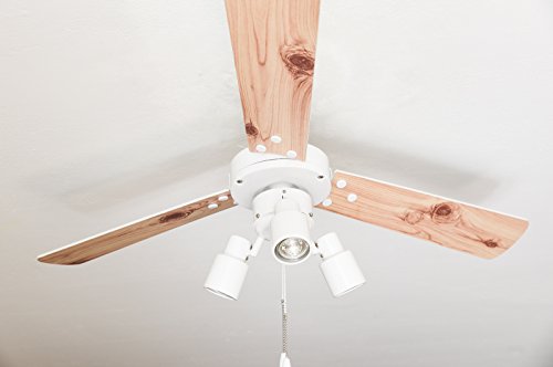 aireRyder - Cyrus Deckenventilator mit Beleuchtung | Leiser Ventilator mit Zugschalter in weiß, Wendeflügel in weiß/Kieferoptik. (Farbe: Weiß & Weiß / Kiefer), 107 x 107 x 39 cm von aireRyder