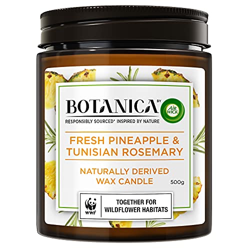 Botanica by Air Wick | Ananas & tunesischer Rosmarin, natürlich gewonnene Wachskerze, 500 g von Air Wick