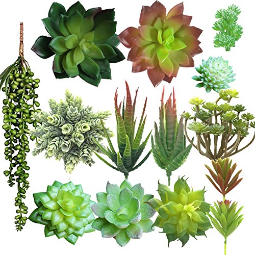 Aisamco 14 PCS künstliche Sukkulenten, sortierte Faux saftige Auswahl, gefälschte Sukkulenten Bouquet Perlenkette Liebhaber Tears Plant Coastal Cottage Anordnung gemischt Echeveria Sukkulenten von Aisamco