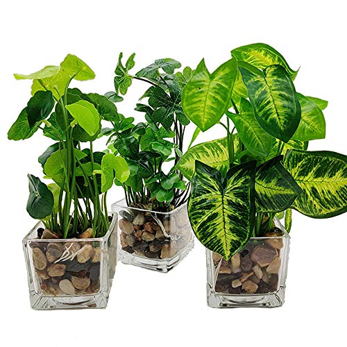 Aisamco 3 Stück Kunstpflanzen Faux Greenery mit Klarglas Töpfen Seidenpflanzen in Glasvase Gefälschte Grünpflanzen für Heimtextilien von Aisamco