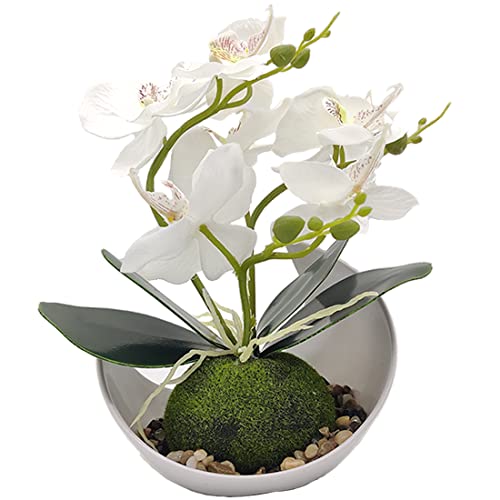 Aisamco 1 Stück Künstliche Orchideenblüten mit weißem Topf Gefälschte Phalaenopsis-Blumen aus Kunststoff mit Topf Künstliche Blume für Zuhause Hochzeit Bürodekoration von Aisamco