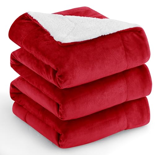 Aisbo Dicke Kuscheldecke Flauschig Rot - Extra Warme Decken für den Winter als Sofadecke Couchdecke 220x240 cm, XXL Große Wohndecke aus hochwertige Sherpa Fleece, Soft Weich Blanket Aisbo Dicke Kuscheldecke Flauschig Rot - Extra Warme Decken für den Winter als Sofadecke Couchdecke 220x240 cm, XXL Große Wohndecke aus hochwertige Sherpa Fleece, Soft Weich Blanket von Aisbo
