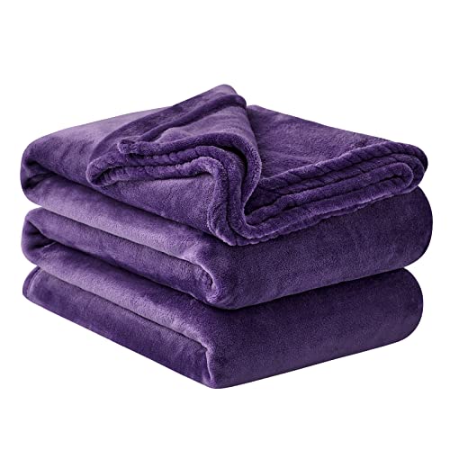Aisbo Kuscheldecke Flauschig Decke Violett - Fleecedecke 230x270 cm Riesige Warme Couchdecke, Kuschlige Wohndecke Lilafarbig Weich als Sofaüberwurf Blanket Sofadecke Bett für Winter von Aisbo