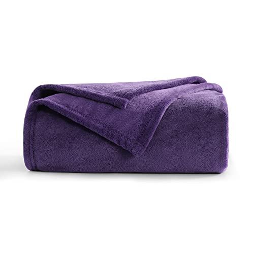 Aisbo Kuscheldecke Flauschig Decke Violett - Fleecedecke Warme Sofa Decke für Winter, Kuschlige Wohndecke Lilafarbig Kinder Weich als Wohnzimmer, Blanket 130x150 cm Klein Couchdecke von Aisbo